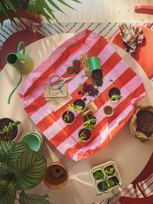 Zářivě růžovo-červeně pruhovaná podložka na květináče DOFTRIPS umístěná na kulatém stole plném malých květináčů, sazenic a nářadí.