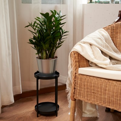 A potted plant on a black metal stand beside a wicker chair.