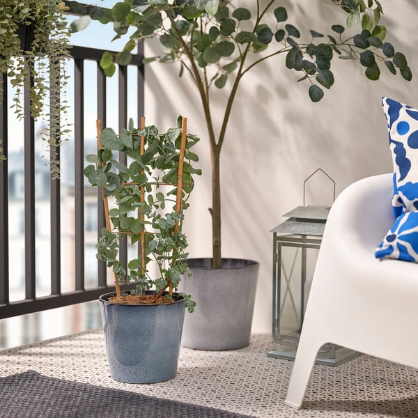 Balcony scene with small potted EUCALYPTUS plant, white chair, blue pillow, and lantern.