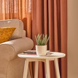 Small indoor/outdoor plant decor on side table, adding life to any space.