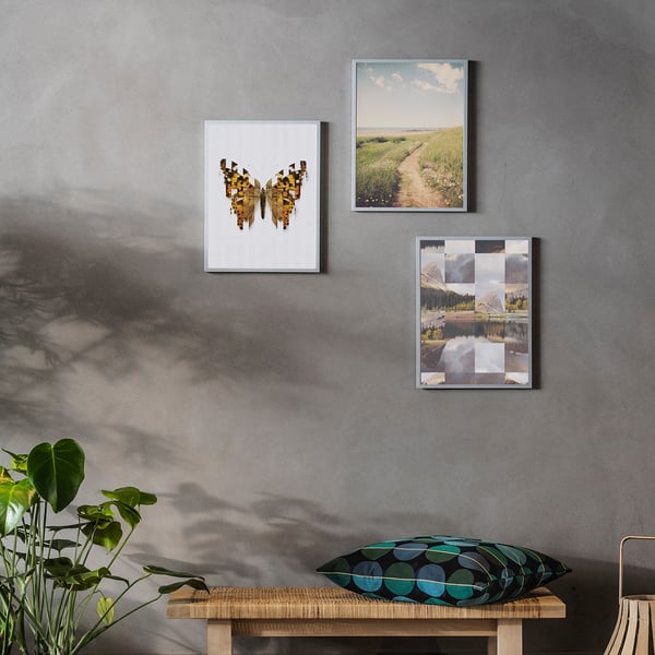 Three framed art: butterfly, path, lake. Bench with pillow, plants.