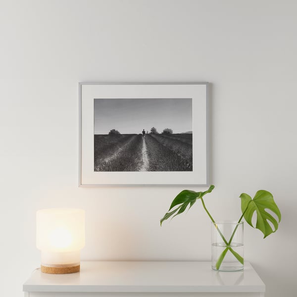 Black & white landscape photo on wall, table with lamp & leafy plant