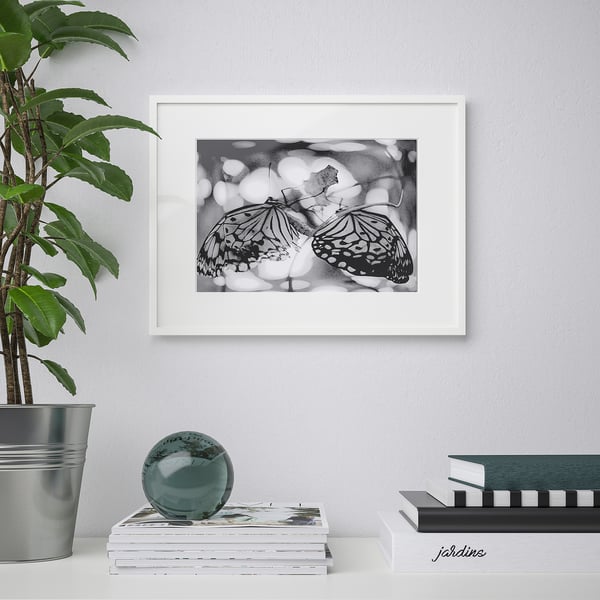 Framed butterfly art on wall, with plant and books.