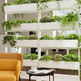 Innovative MITTZON room divider with lush green plants in white containers. Wheels for easy movement and locking mechanism for stability.