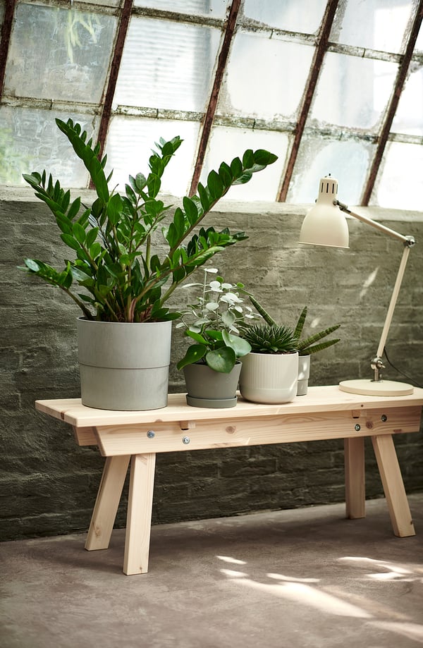 Three green plants in recycled plastic pots, light grey, round, on wooden table by large window.