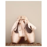 A pair of light pink ballet slippers with ribbons in a stylish arrangement.