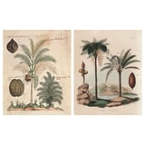 PJÄTTERYD tropical palms canvas art - green leaves & brown coconuts on beige, 3d frame effect