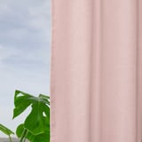 Soft pink curtains hang beside a green plant, filtering natural light.