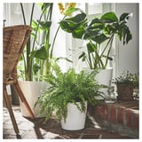 Three green plants in white pots on red bricks by wicker chair.