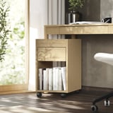 Home office setup featuring TONSTAD light oak storage unit with wheels, holding books under a wooden desk with a plant and camera.