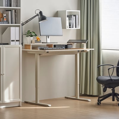 Modern home office: adjustable desk, monitor, ergonomic chair, books, decor.
