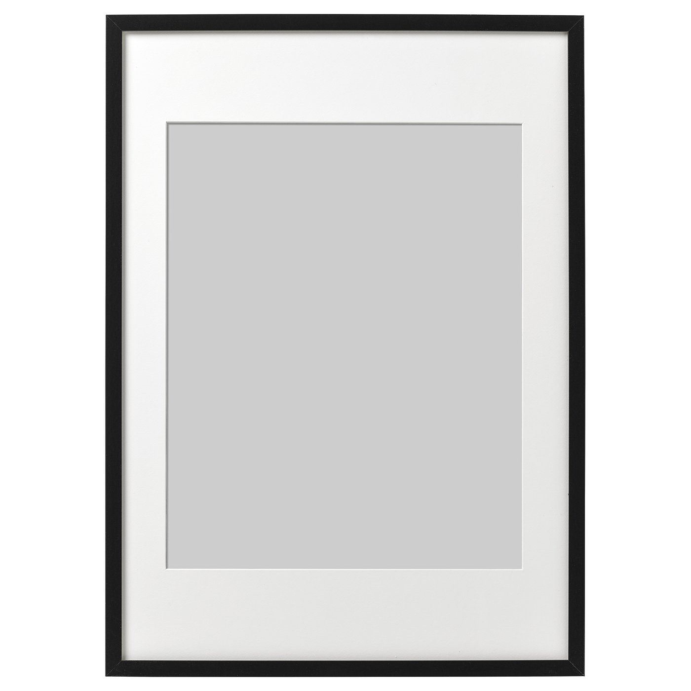 Ribba frame and mount