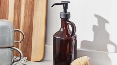 Kitchen soap dispensers