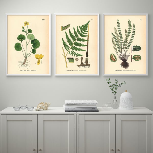 Tre botaniska tryck ovanför skänken: fiallviol, geum-rhod, asplenium. Skänk med böcker, snäcka, vas.