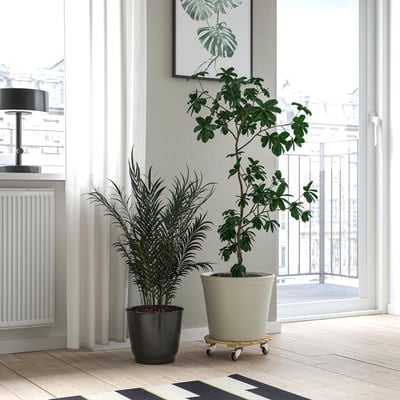 DAKSJUS Blomvagn, bambu, 28 cm