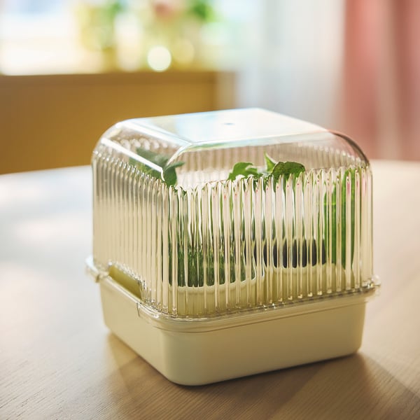 DOFTRIPS Odlingsset, transparent/off-white, 16x16x14.5 cm