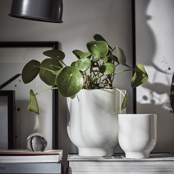 En vit keramikvas med gröna bladväxter står på böcker, tillsammans med en liten vit kopp. Modern inredning med minimalistisk stil.