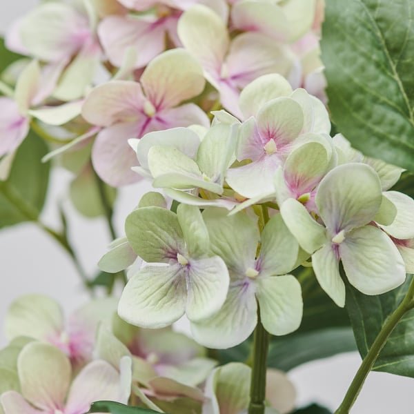 FEJKA Konstgjord krukväxt, inom-/utomhus/hortensia vit, 12 cm
