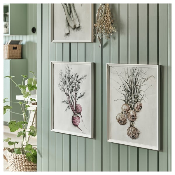 Botanisk konst: grönsaksillustrationer, rödbetor, lök. Korg med växt.