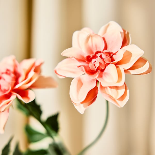 SMYCKA Konstgjord blomma, inom-/utomhus Dahlia/orange, 66 cm