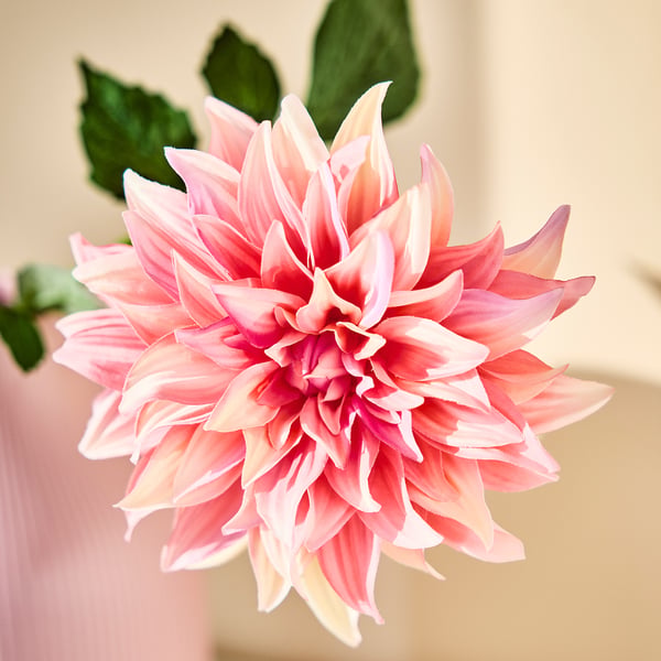 SMYCKA Konstgjord blomma, inom-/utomhus Dahlia/rosa, 65 cm