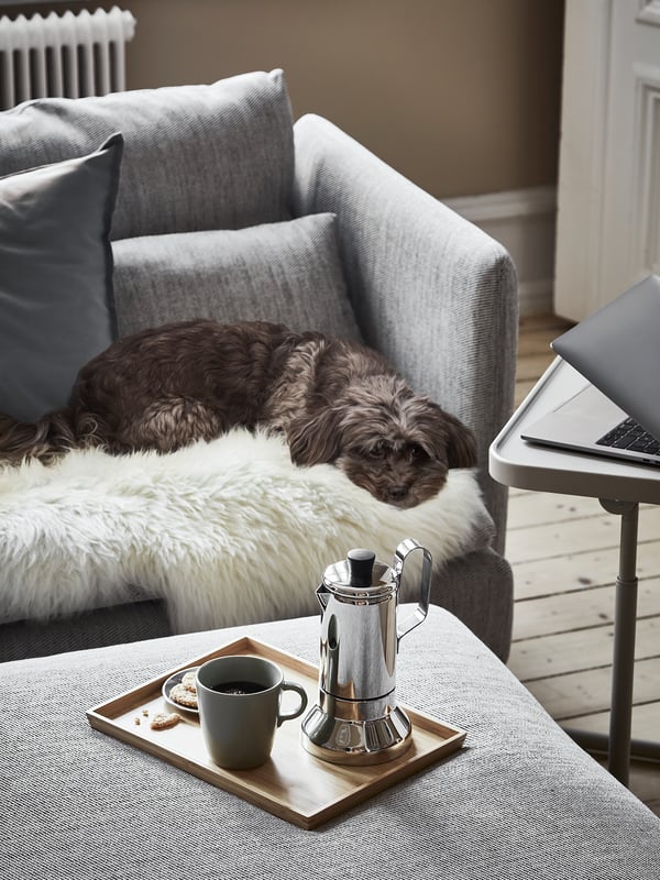 En mysig grå SÖDERHAMN-soffa med en sovande hund, en träbricka med en kaffebryggare och mugg och en bärbar dator på ett litet bord bredvid.