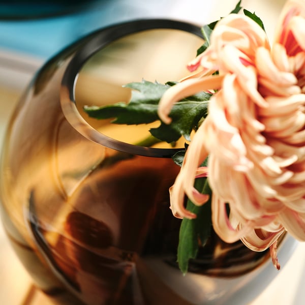 Vacker glasvas, elegant formad, som håller blommande blommor. Estetisk och dekorativ, med en rik, slät konsistens.