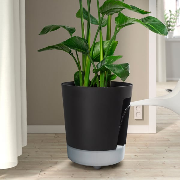 Svart självvattnande planteringskärl med blomstrande grön växt.