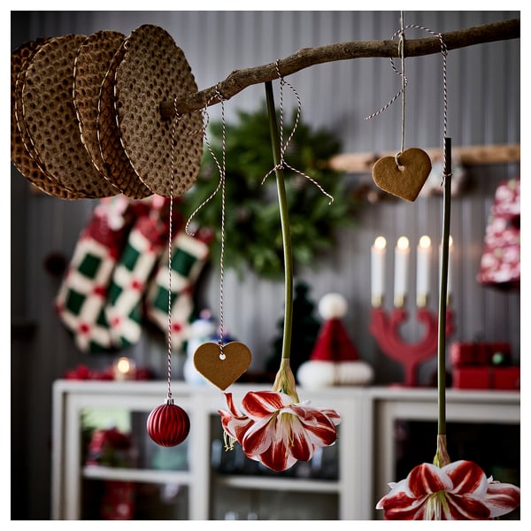 VINTERFINT Konstgjord blomma, inom-/utomhus Amaryllis/röd vit, 60 cm