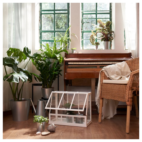 Une chambre confortable avec un piano, de grandes plantes et une serre ÅKERBÄR blanche pour les herbes sur le sol en bois.