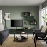 Salon moderne avec canapé gris, meuble TV vert, plantes et parquet.