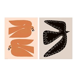 BILD Poster, observation des oiseaux, 40x50 cm