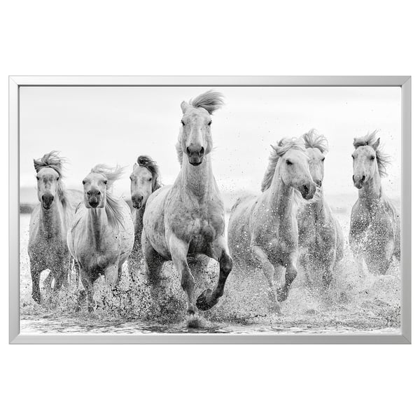 Noir et blanc cinq chevaux courant dans l’eau, encadrés d’argent.