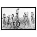 Chevaux noirs et blancs courant sur la plage dans un cadre en aluminium recyclé BJÖRKSTA.