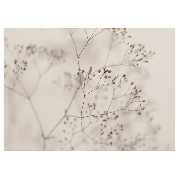 Branches florales sépia BJÖRKSTA, imprimé botanique allergique, teintes neutres délicates, détails flous.