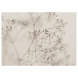 Branches florales sépia BJÖRKSTA, imprimé botanique allergique, teintes neutres délicates, détails flous.