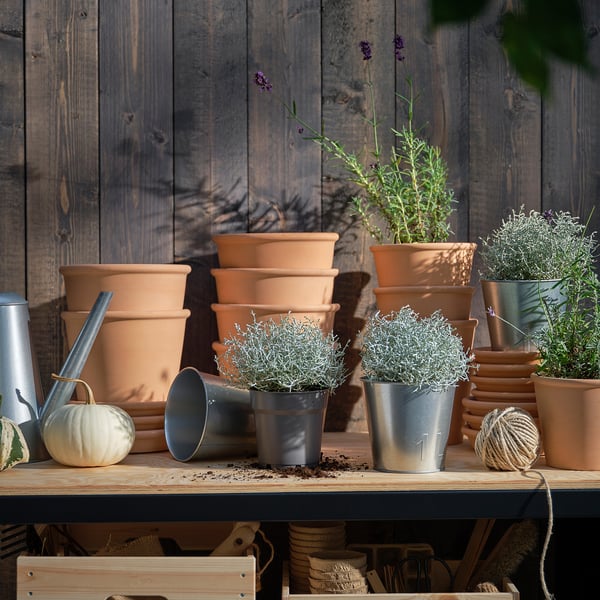 Étagère rustique avec des plantes, des pots, des citrouilles et de la ficelle, encadrée par une toile de fond en bois.