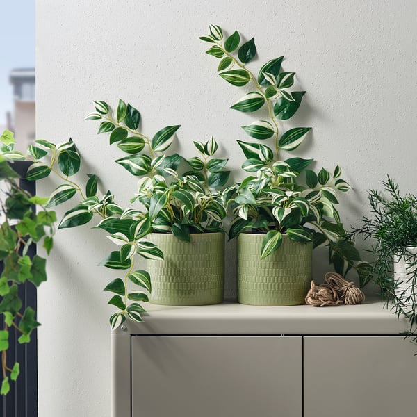 Deux petits pots verts CHIAFRÖN avec des plantes rayées sur une étagère.