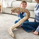 L’enfant tient un jouet en python en peluche, parfait pour les câlins et le jeu, conçu pour les enfants de 18 mois et plus.
