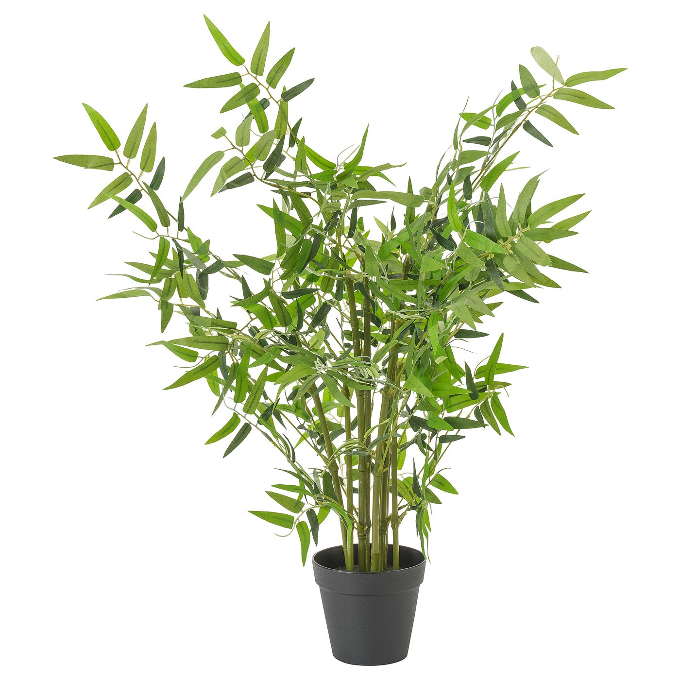 Plante D Intérieur Facile D Entretien Ikea