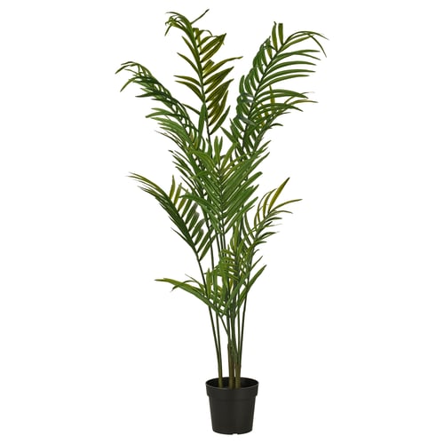 FEJKA Plante artificielle en pot, intérieur/extérieur Kentia, 23 cm IKEA