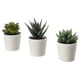 Plante succulente artificielle FEJKA d'Ikea