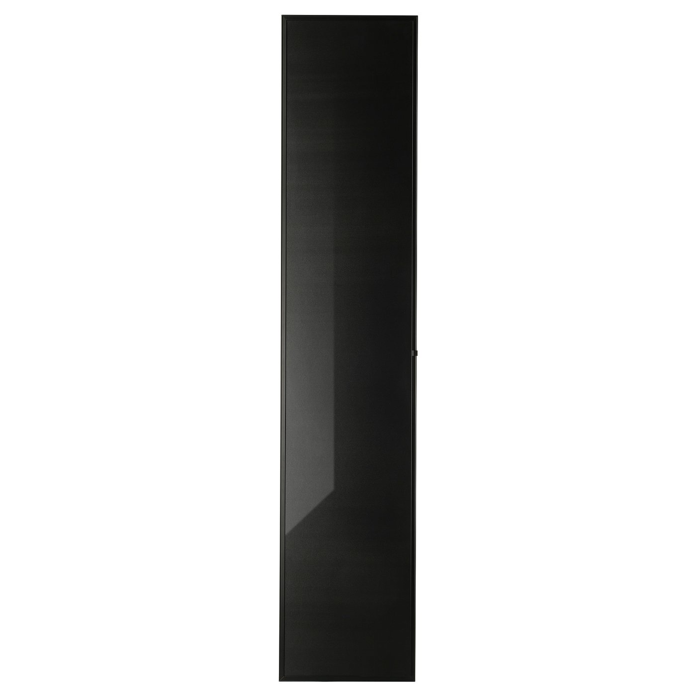 HÖGBO Porte vitrée - noir 40x192 cm