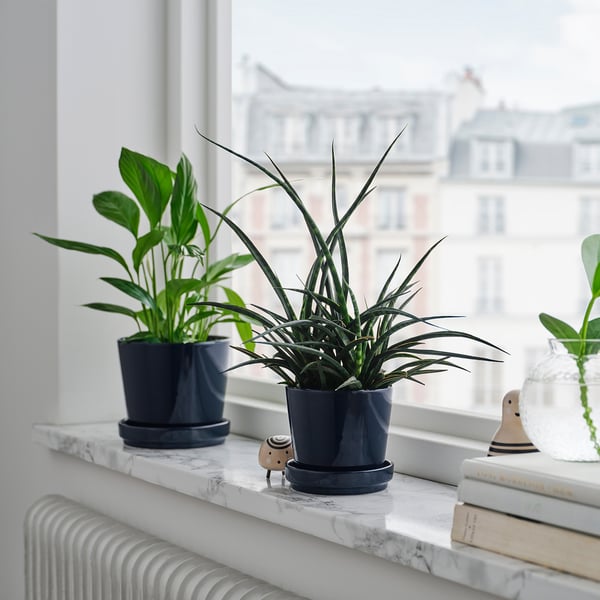 Deux pots de fleurs KLOTLÖNN bleu foncé sur un rebord de fenêtre en marbre, plus petits que les livres voisins, contenant des plantes d’intérieur vertes.