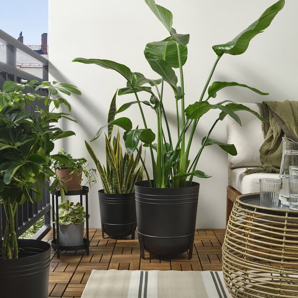 Pots de fleurs PÄRLRÖNN noirs, design rond simple avec pieds, taille moyenne, plantes d’intérieur, décoration de balcon confortable.