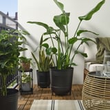 Pots de fleurs PÄRLRÖNN noirs, design rond simple avec pieds, taille moyenne, plantes d’intérieur, décoration de balcon confortable.