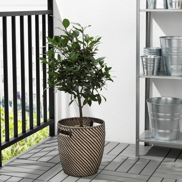 Petit balcon avec une plante en pot dans un panier tressé marron et beige avec poignées. À côté d’une étagère en métal contenant des pots en métal.