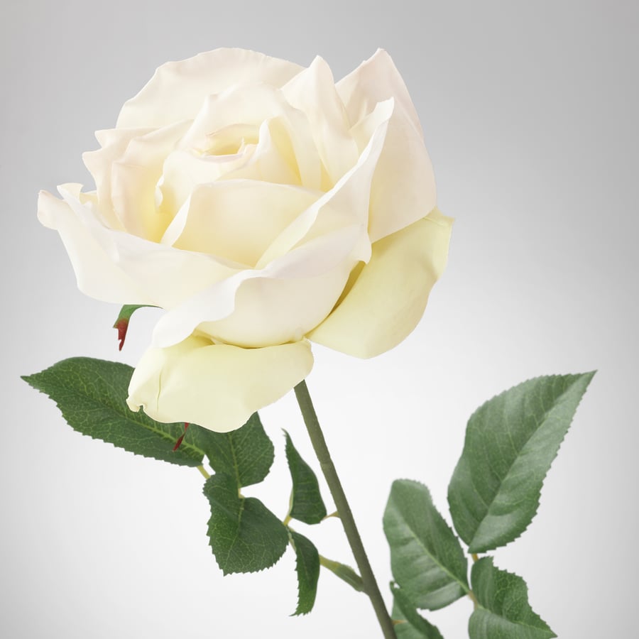 SMYCKA Fleur artificielle, rose, blanc IKEA