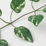Plante artificielle au vert vif, aux feuilles veinées et aux tiges pliables. Réaliste et écologique.