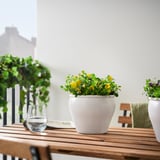 Une scène de balcon avec des pots de fleurs blanches avec des fleurs jaunes sur une table en bois, accompagnés de verres à vin et d’une plante verte.